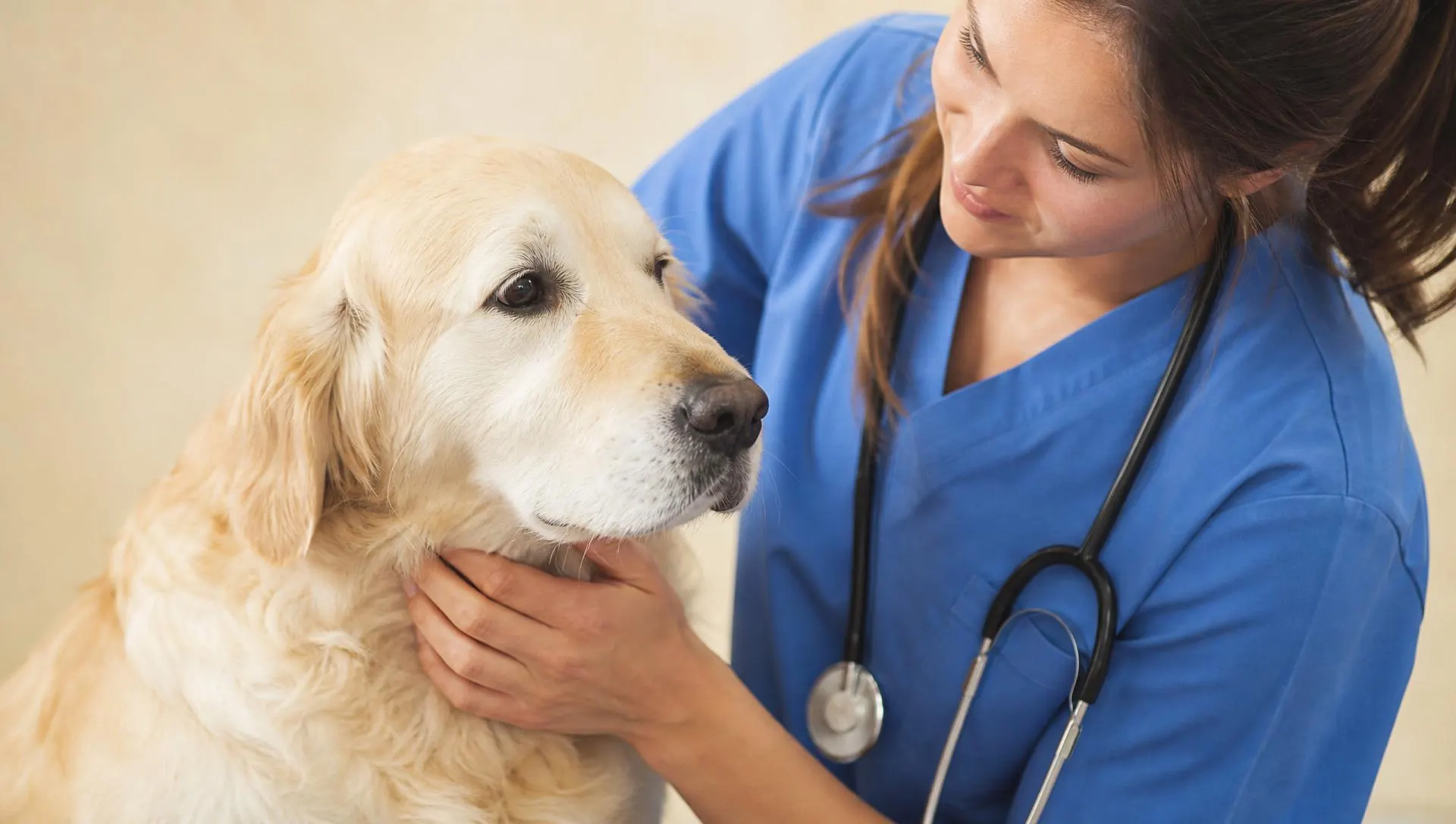 Clínica Veterinária Villa Zampa