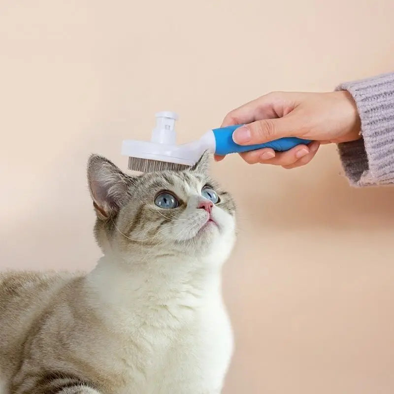 Escova Removedora Tira Pelos Dos Pets Cães E Gatos